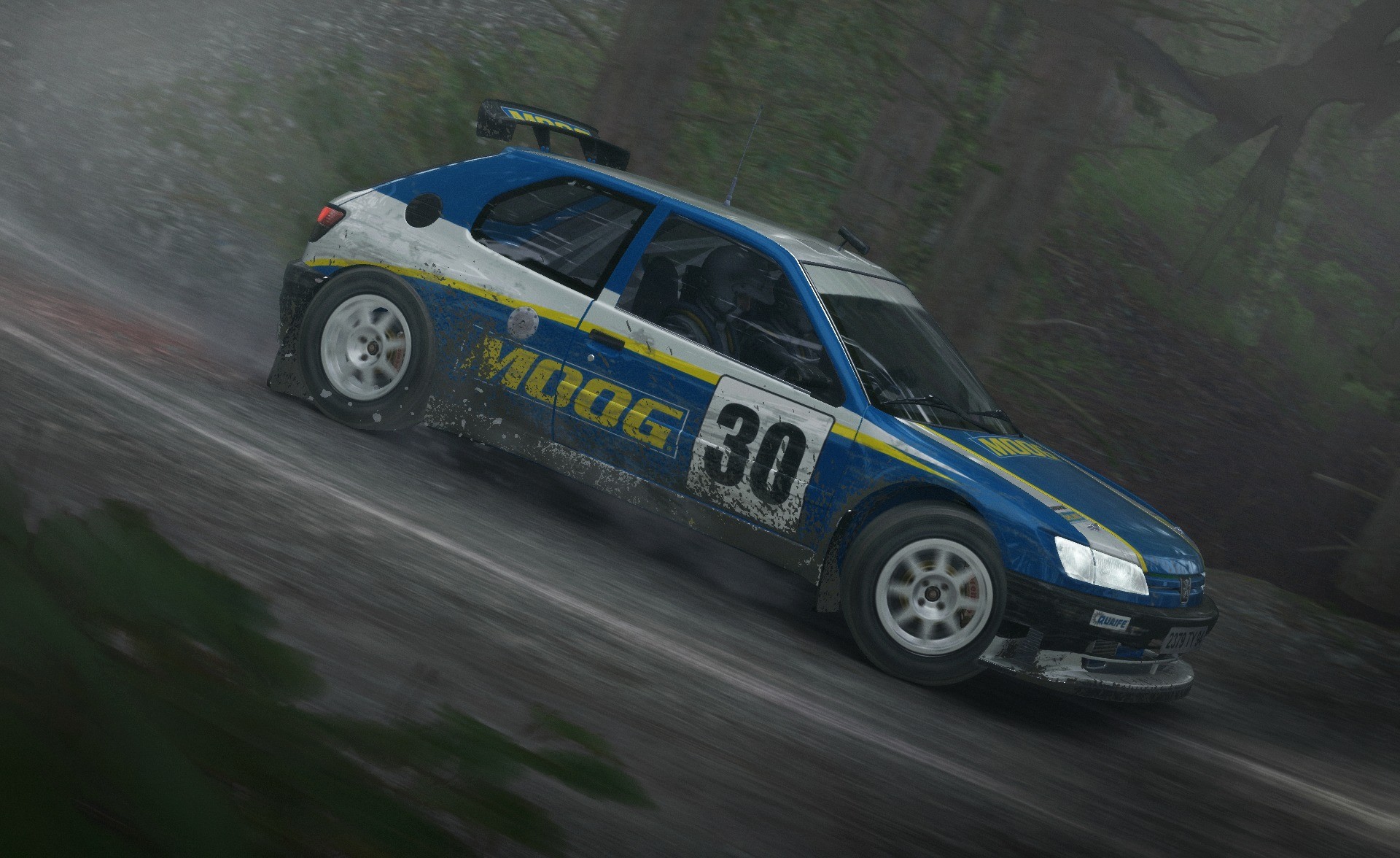 DiRT Rally - Imagen 31